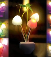 2Pcs LED Mushroom light