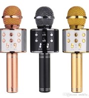 Wireless Microphone with Speaker